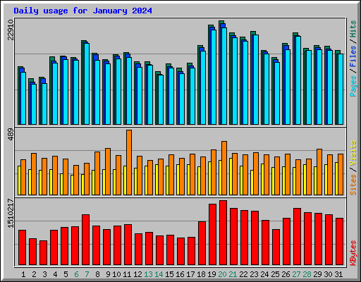 Daily usage for January 2024