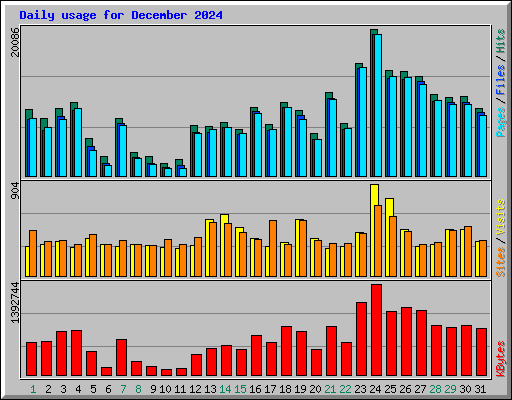 Daily usage for December 2024