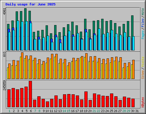 Daily usage for June 2025