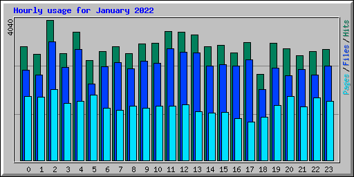 Hourly usage for January 2022