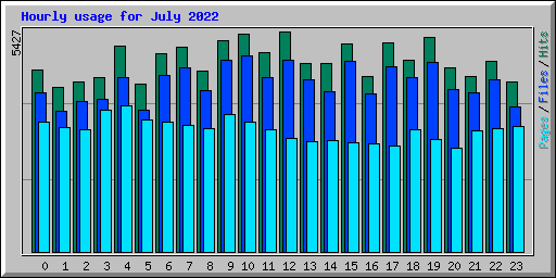 Hourly usage for July 2022