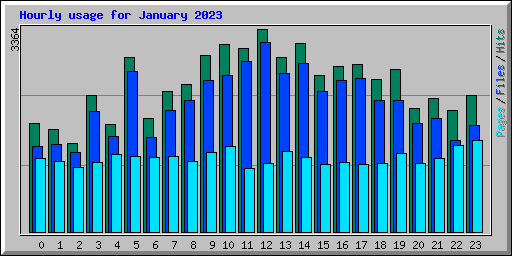 Hourly usage for January 2023