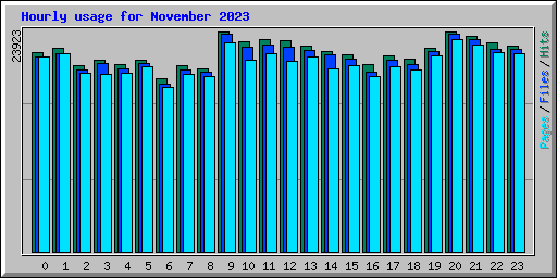 Hourly usage for November 2023