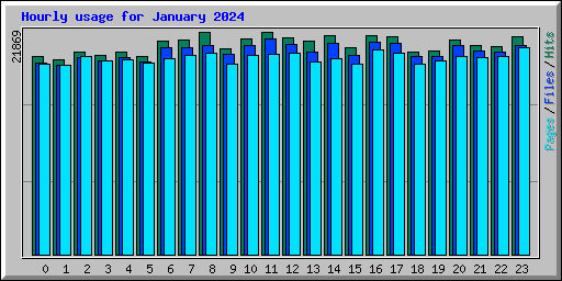 Hourly usage for January 2024