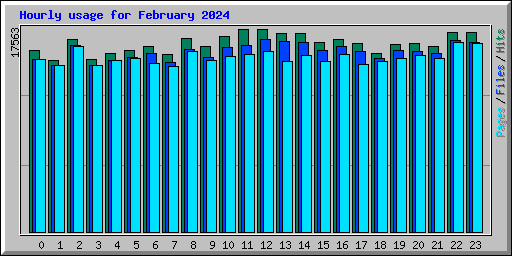 Hourly usage for February 2024