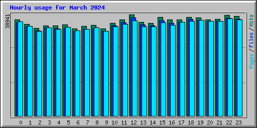 Hourly usage for March 2024