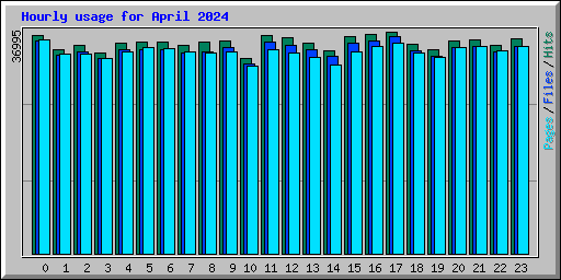 Hourly usage for April 2024