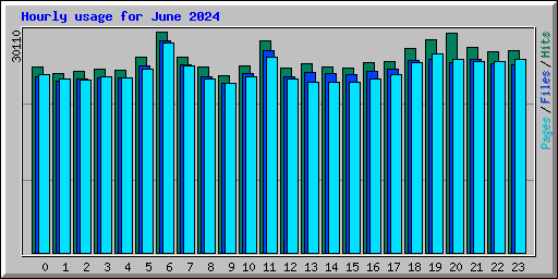 Hourly usage for June 2024