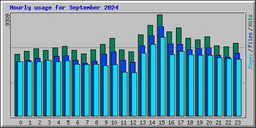 Hourly usage for September 2024