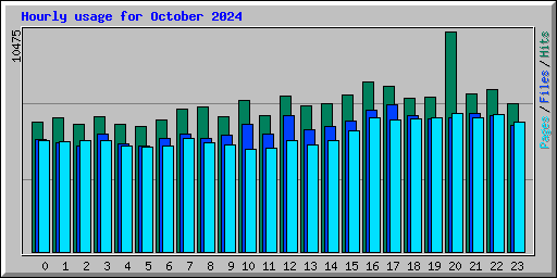 Hourly usage for October 2024