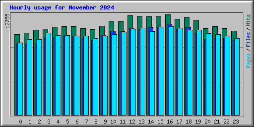 Hourly usage for November 2024