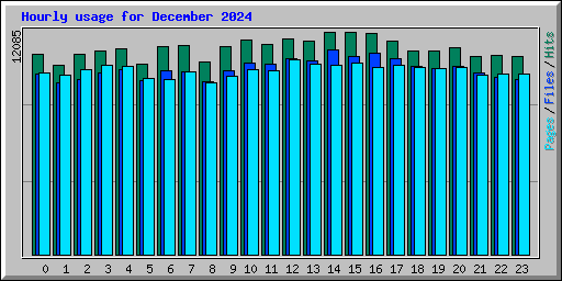 Hourly usage for December 2024