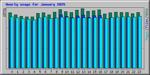 Hourly usage for January 2025
