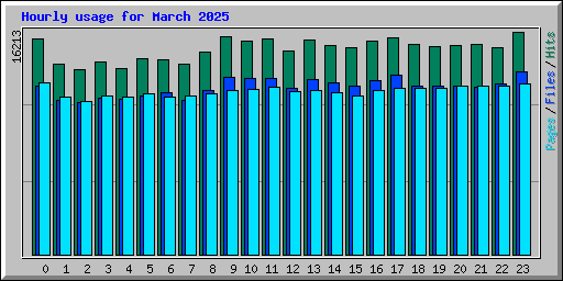 Hourly usage for March 2025