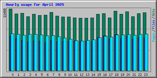 Hourly usage for April 2025