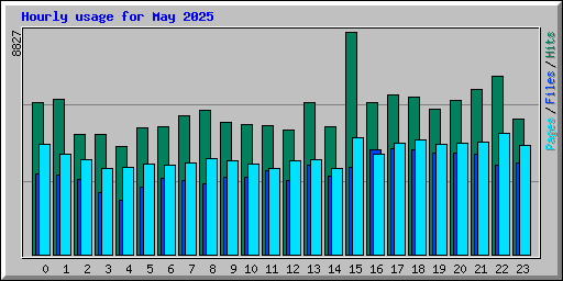 Hourly usage for May 2025