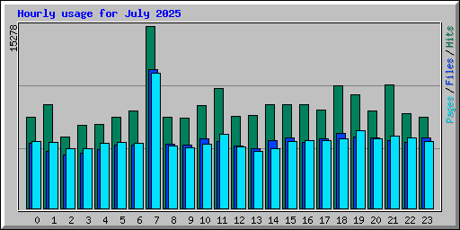 Hourly usage for July 2025