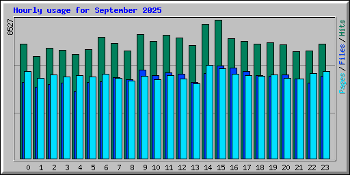 Hourly usage for September 2025