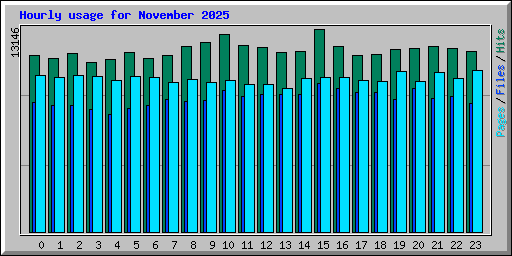 Hourly usage for November 2025