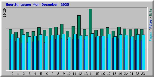 Hourly usage for December 2025