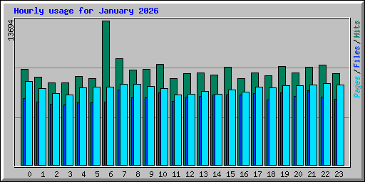 Hourly usage for January 2026